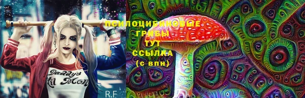 марки lsd Белокуриха